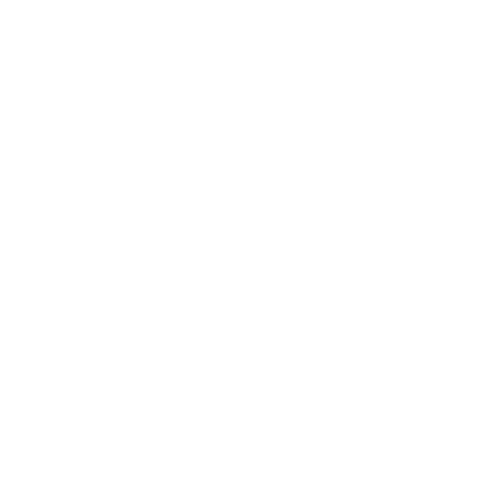 Druids.vip brand mark