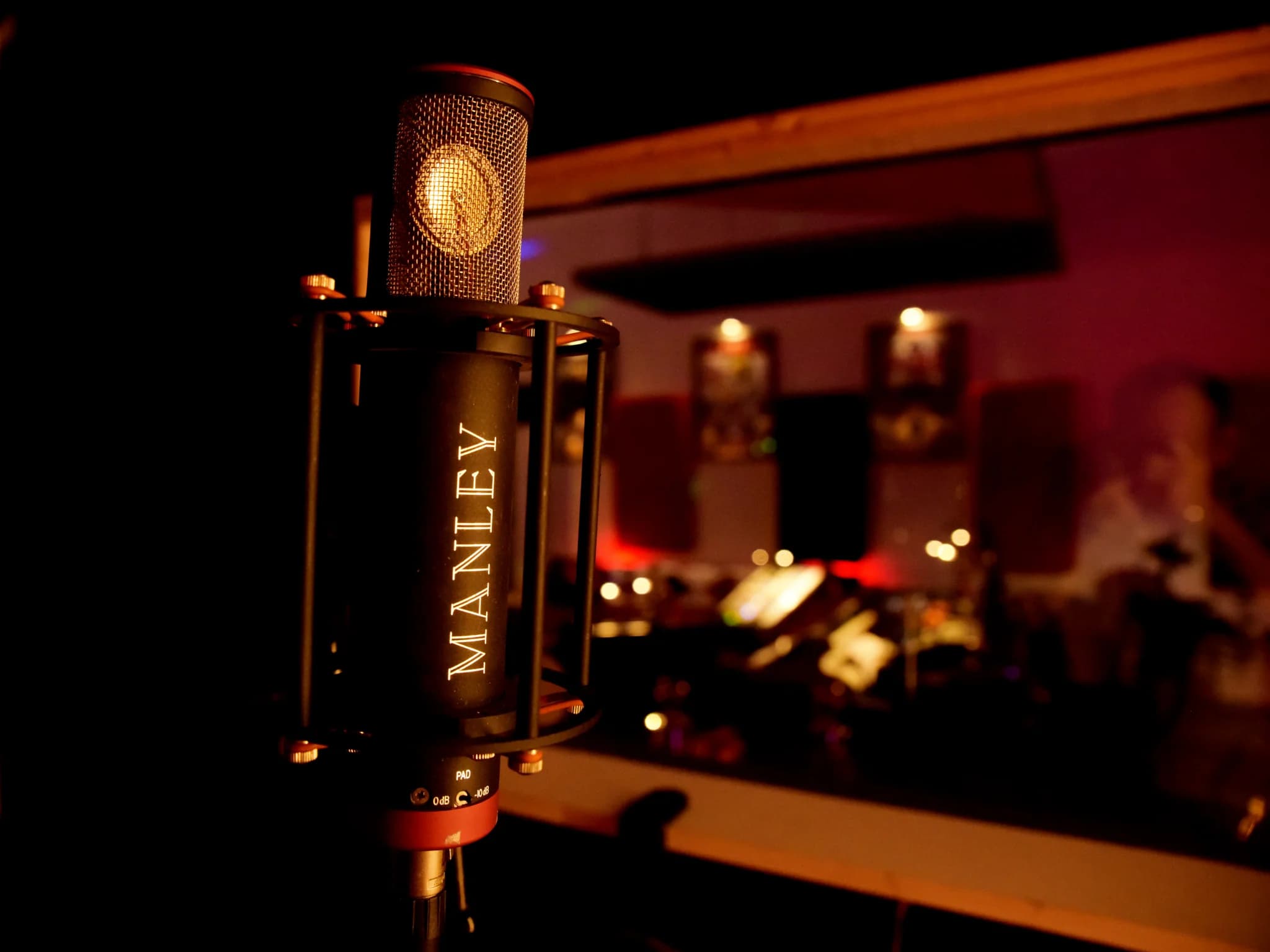 Manley microphone in the soundproofed recording booth